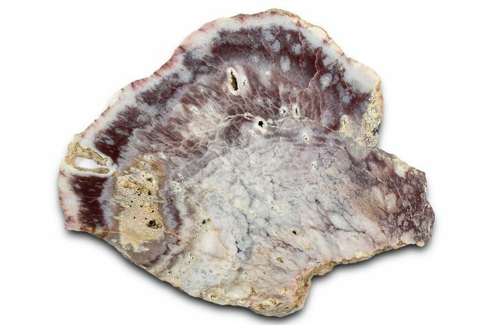 Polished Colorful Agate Slab #338149